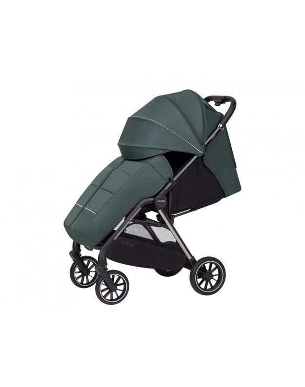 Sports stroller Carrello Delta Sky Blue