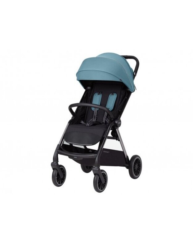 Sports stroller Carrello Delta Sky Blue